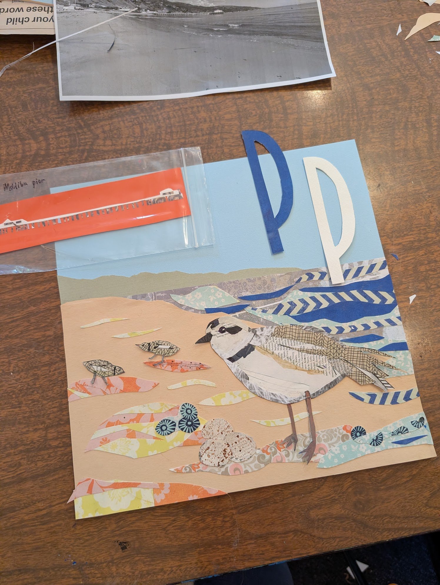 P is for Plover in Malibu