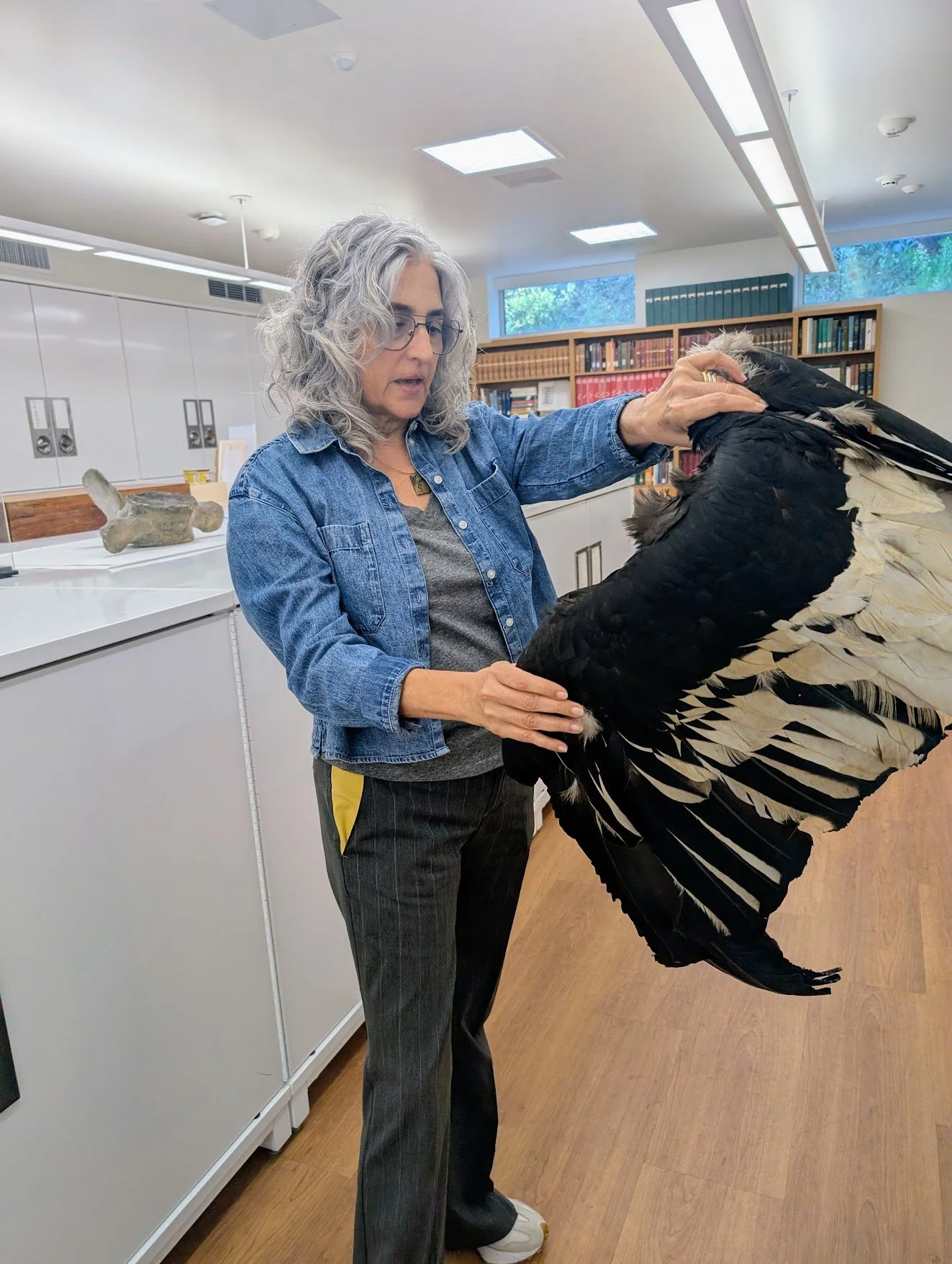 SRA with a Condor