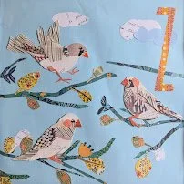 Zebra finches