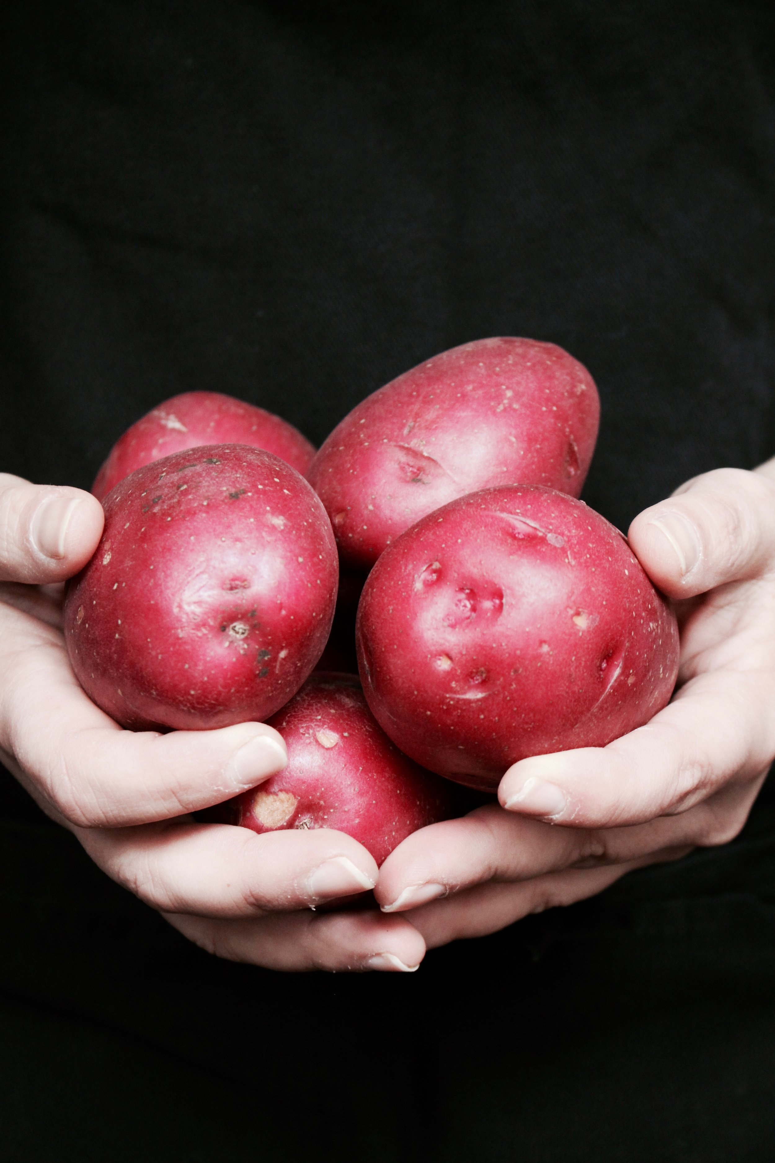 Red Potatoes made delicious in this potato salad by chef ashley faulkner