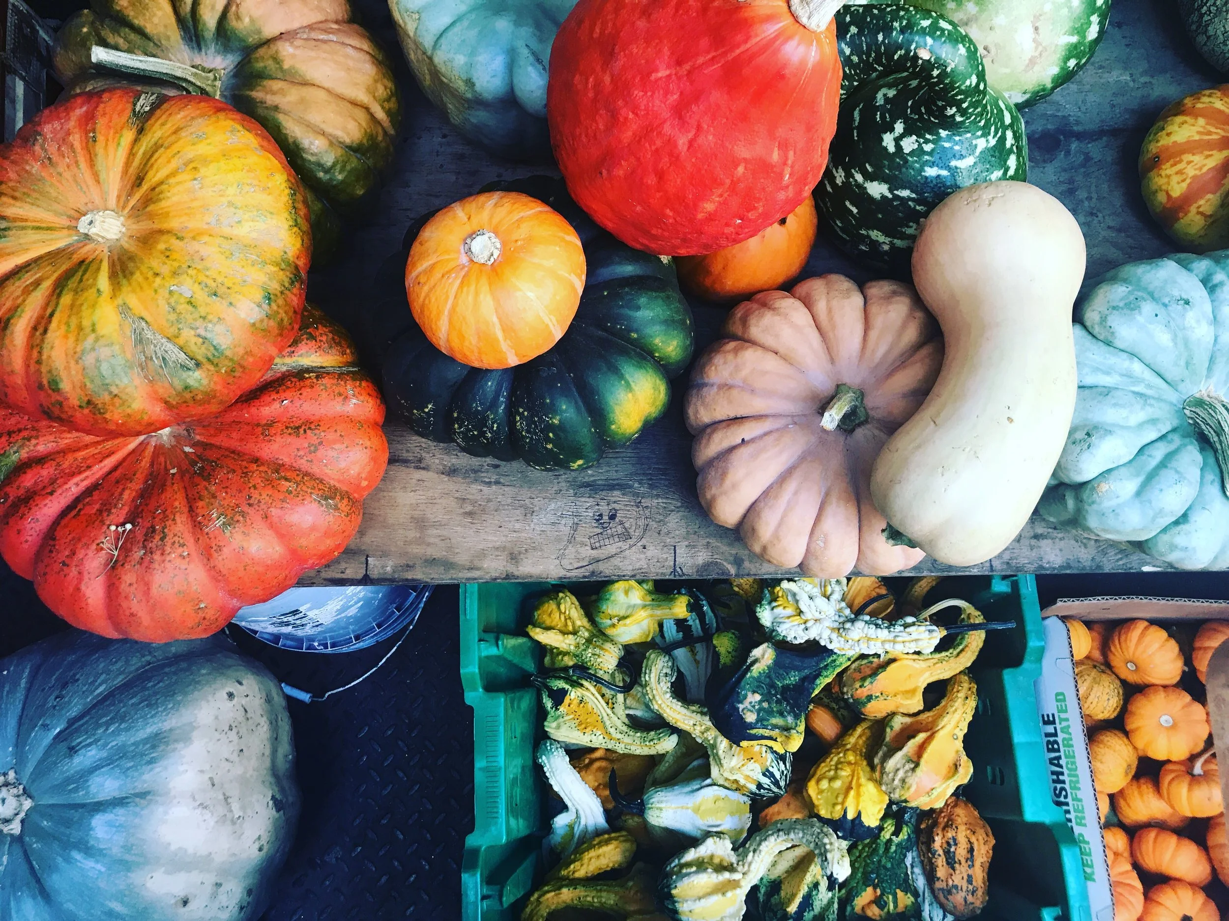 Fall Squash Photo By: Danielle Rehfeld Colen