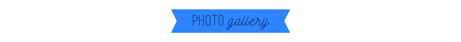 PhotoGalleryBannerTrans.png
