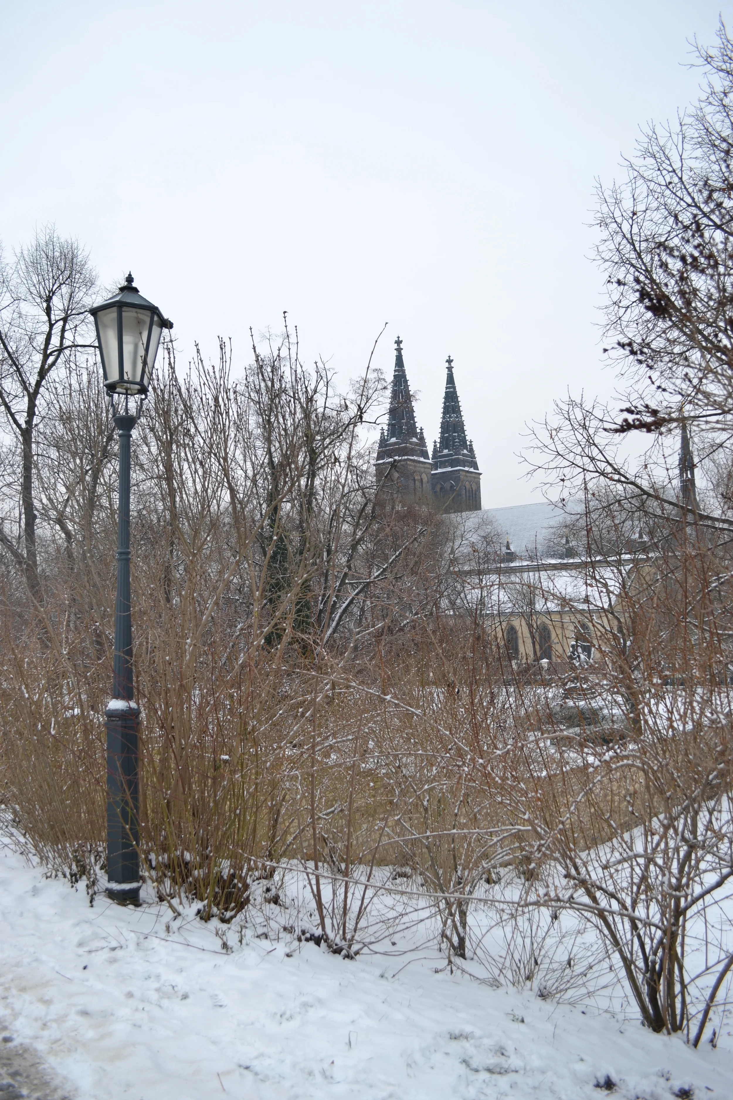 2014-12-31 09.35.41.jpg