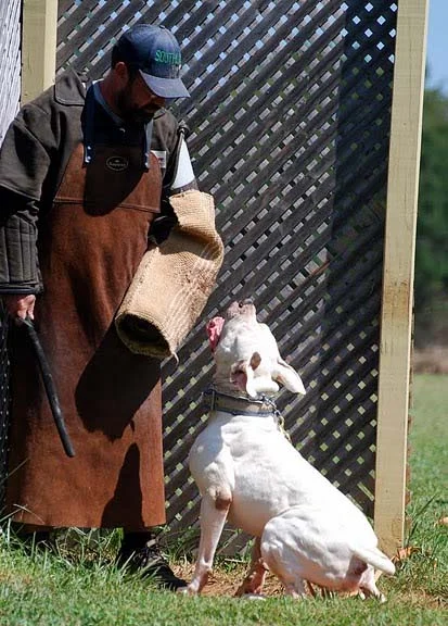 bark and hold.jpg