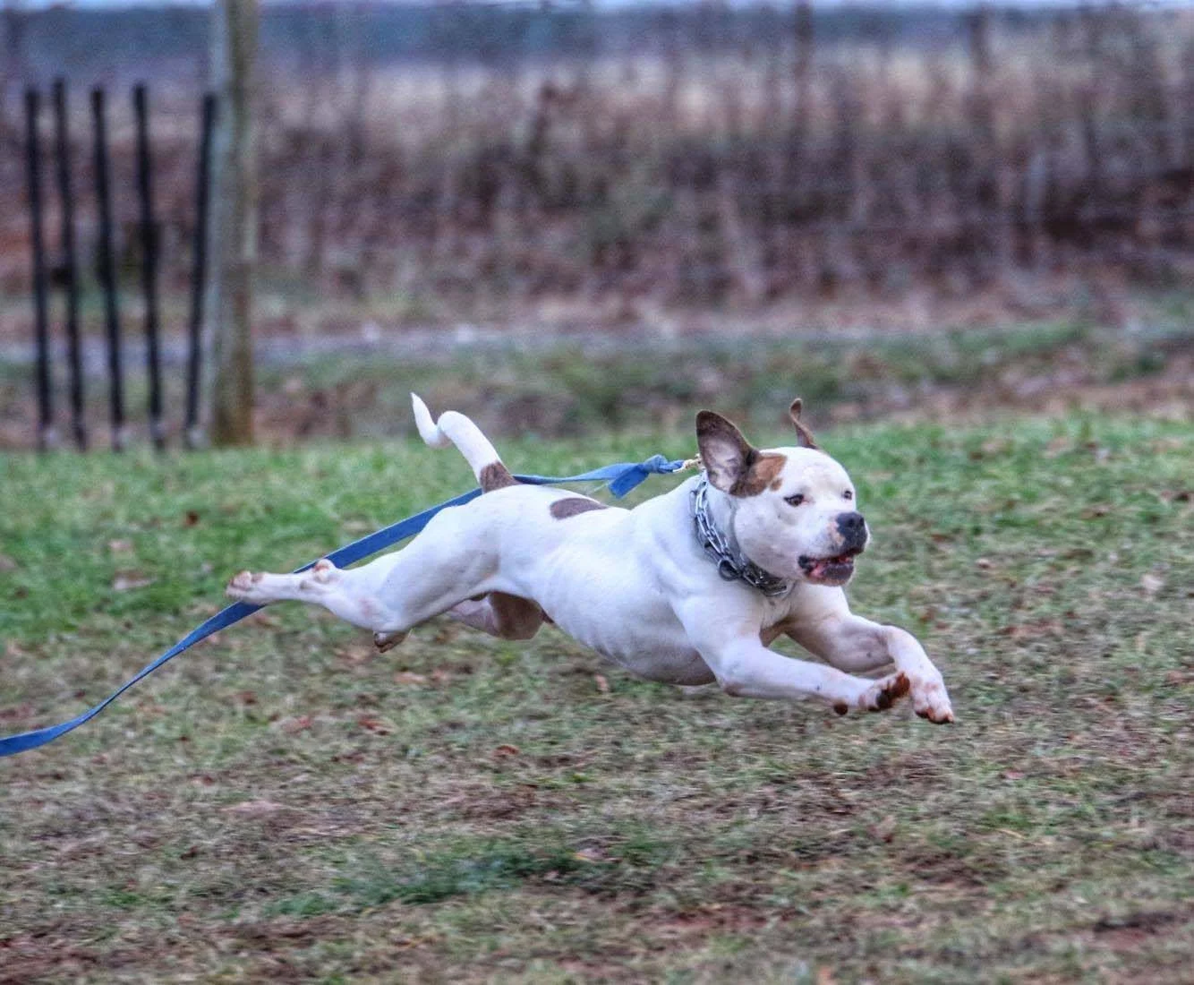 running.jpg