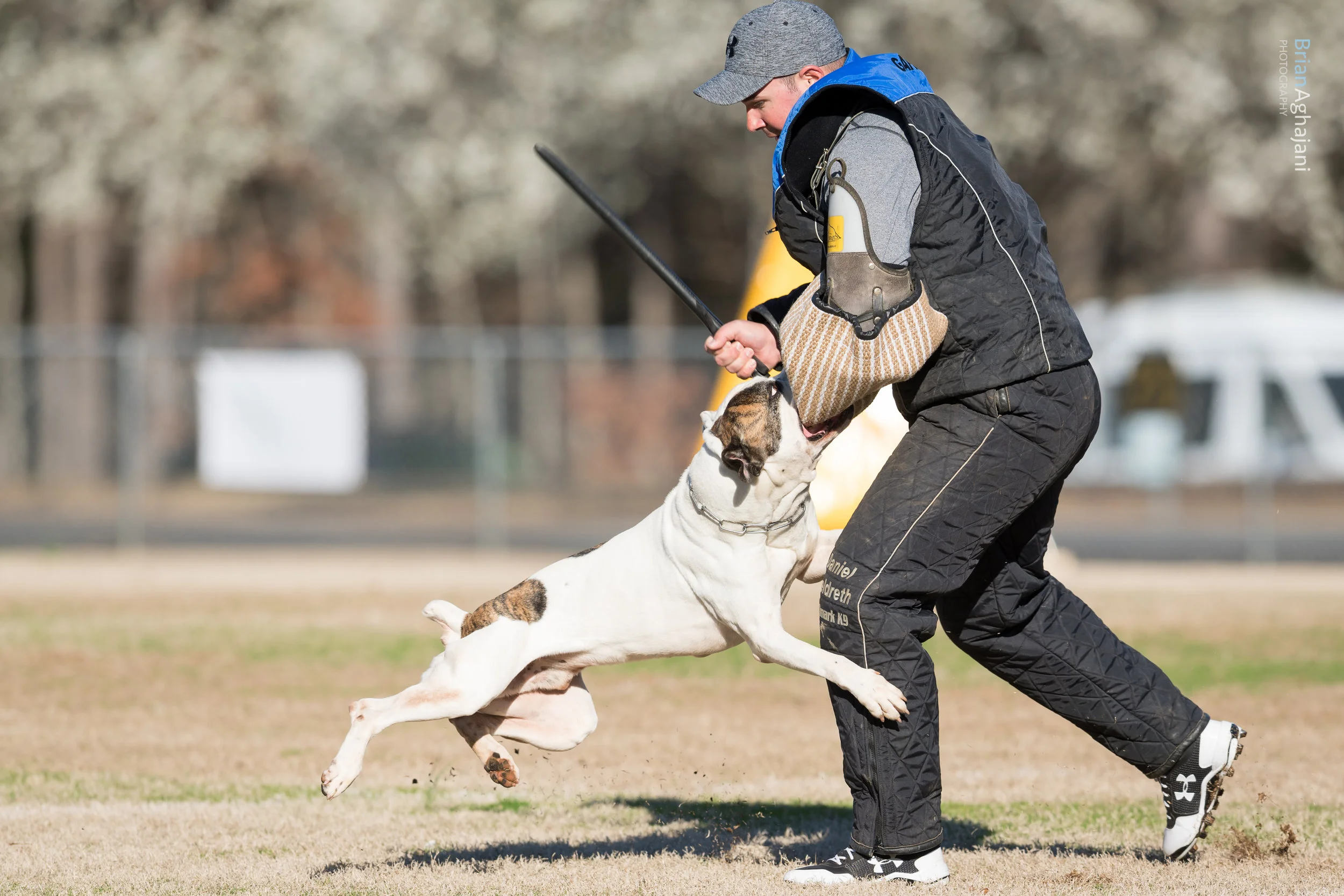 20170225 BA1_05822017 SE Regionals.jpg