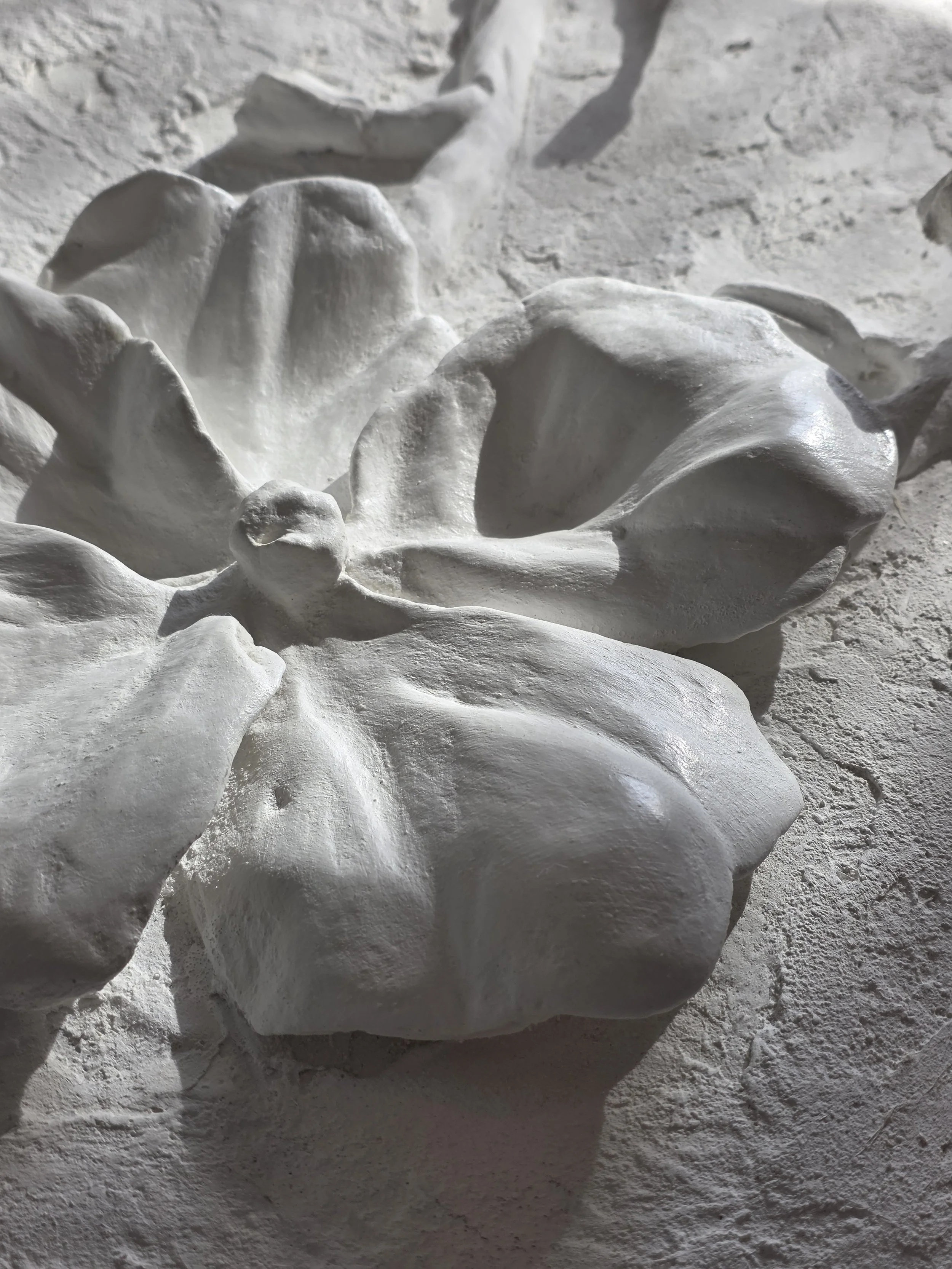  Floral detail 