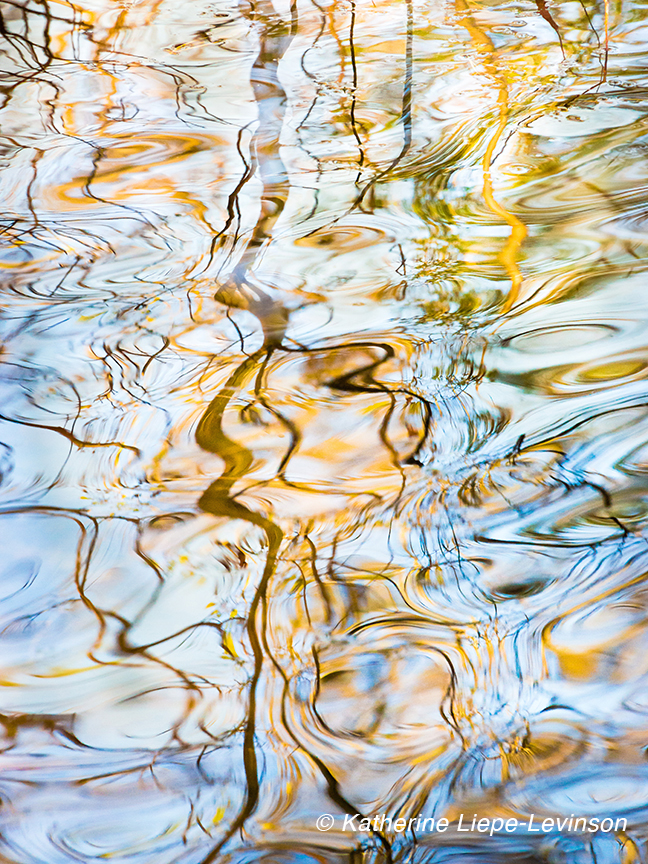Earth/Water: Small Expectations by Katherine Liepe-Levinson