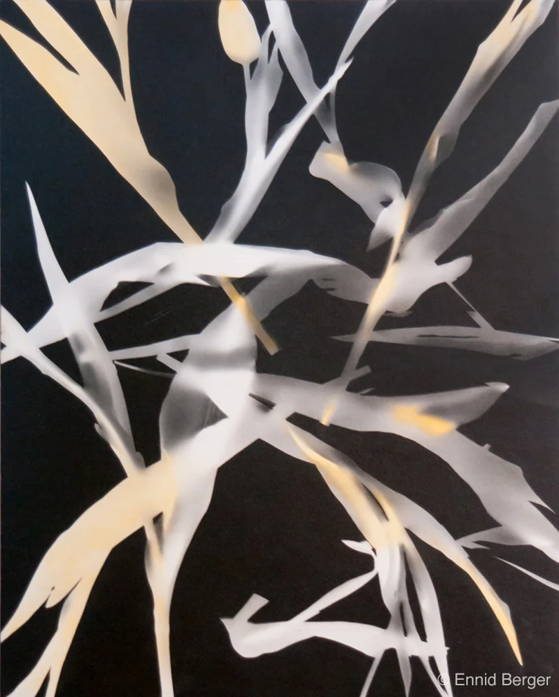 Composition in Black, White and Gold by Ennid Berger