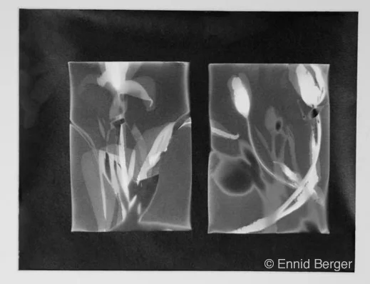 Diptych by Ennid Berger