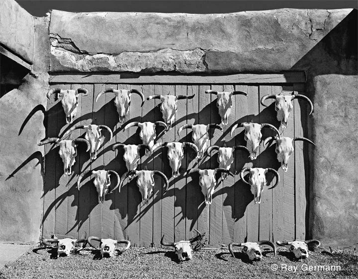 "Cattleskulls" Taos, New Mexico by Ray Germann