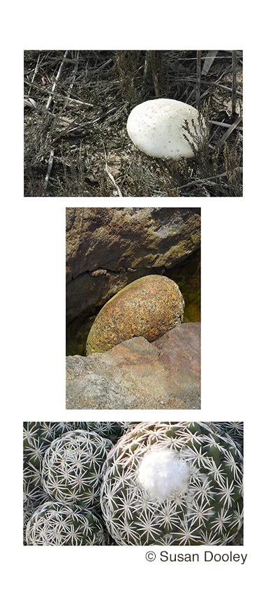 "Circles Triptych" Montauk, Long Island, Monhegan Island, Maine, Phoenix, Arizona by Susan Dooley