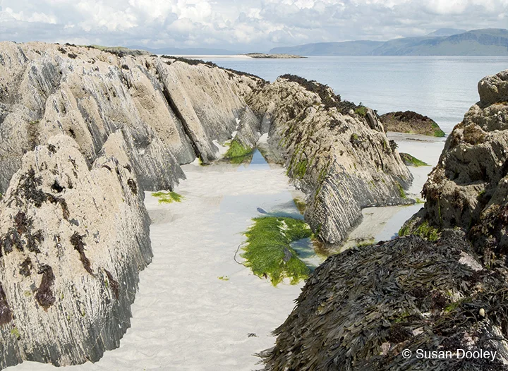 "Isle of Mull" Scotland by Susan Dooley