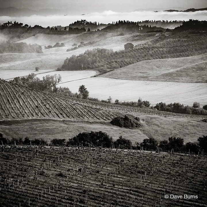 "Vineyard View with Vapors and Villas" by Dave Burns