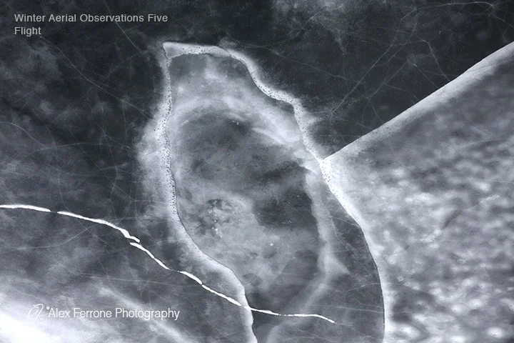 "Winter Aerial Observations Five - Flight" by Alex Ferrone