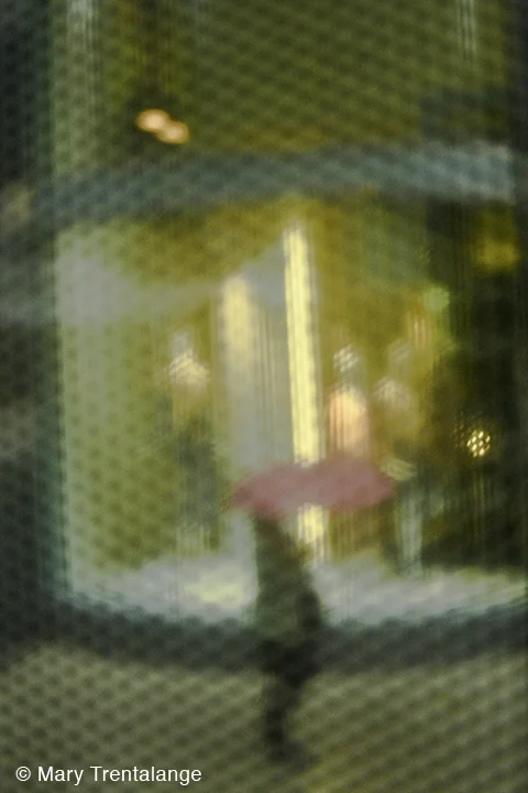 "Cubed Rain" by Mary Trentalange