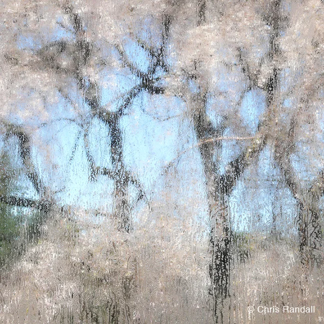 "Mirage #6" by Chris Randall