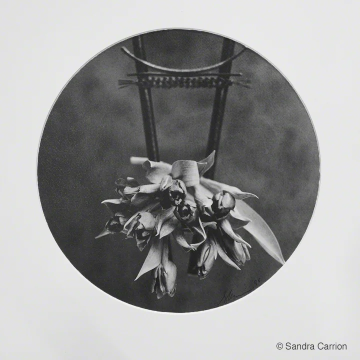 "Florals" by Sandra Carrion