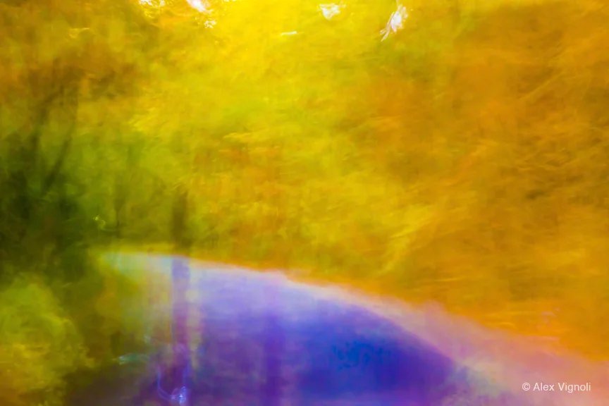 "Brilliant Autunno (Brilliant Autumn)" by Alex Vignoli