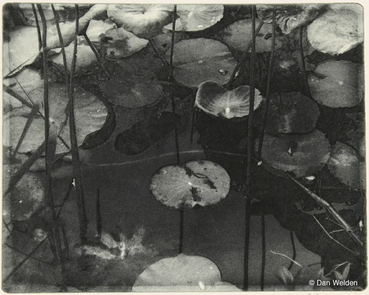 "Reflections" by Dan Welden