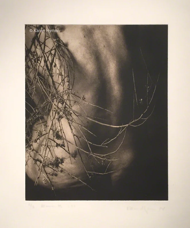 "Remnants 277" by Karen Hymer