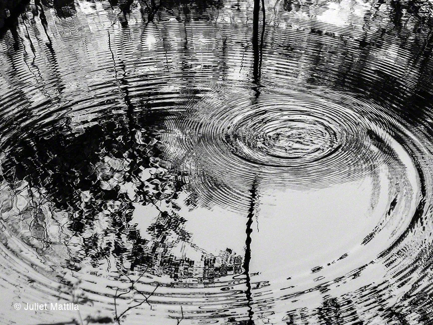 Splash by Juliet Mattila