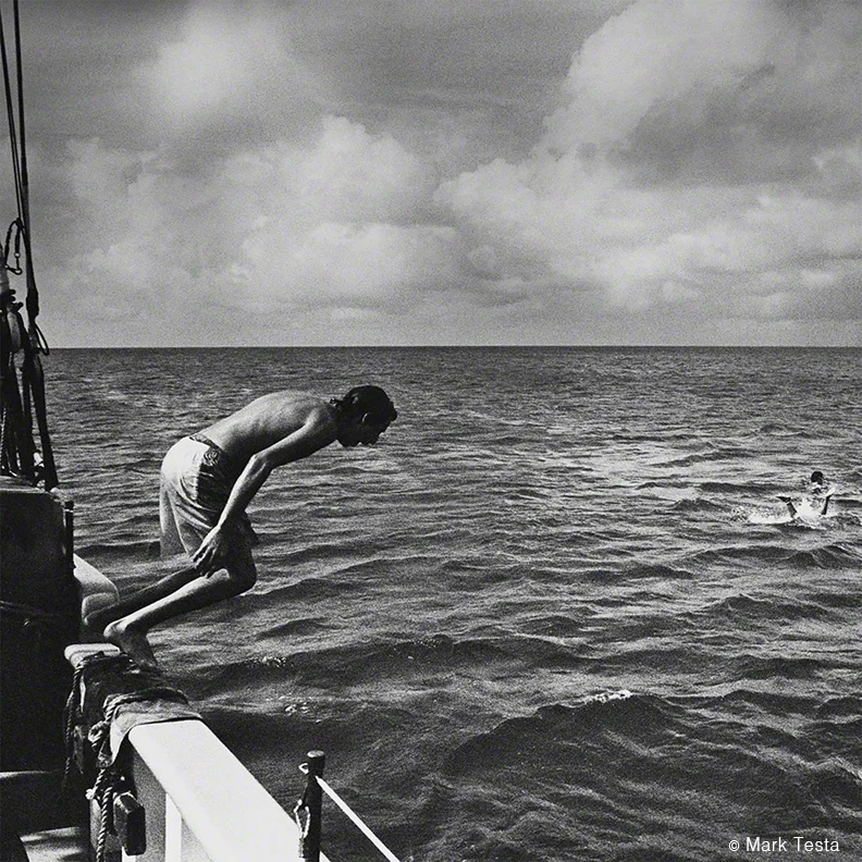 Swim by Mark Testa