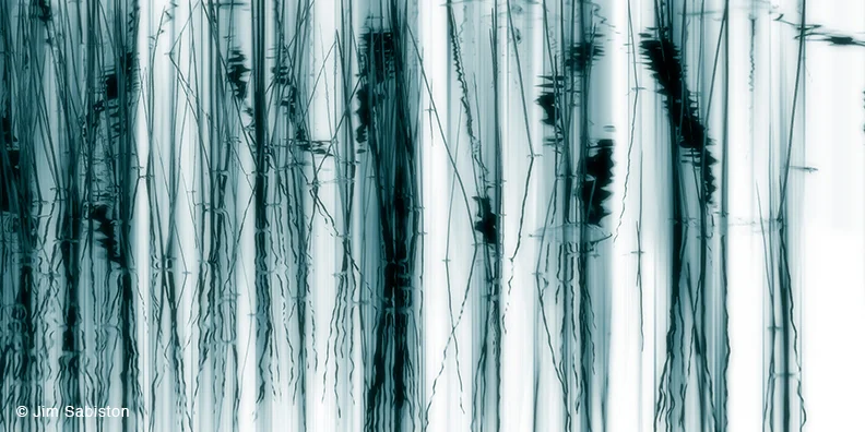 Water Sprits - Study 1 by Jim Sabiston