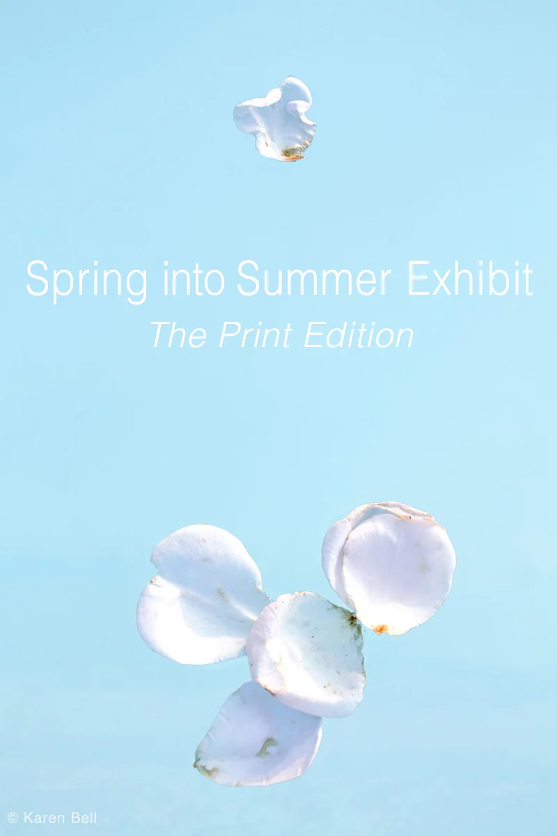 Web image Spring into Summer.jpg