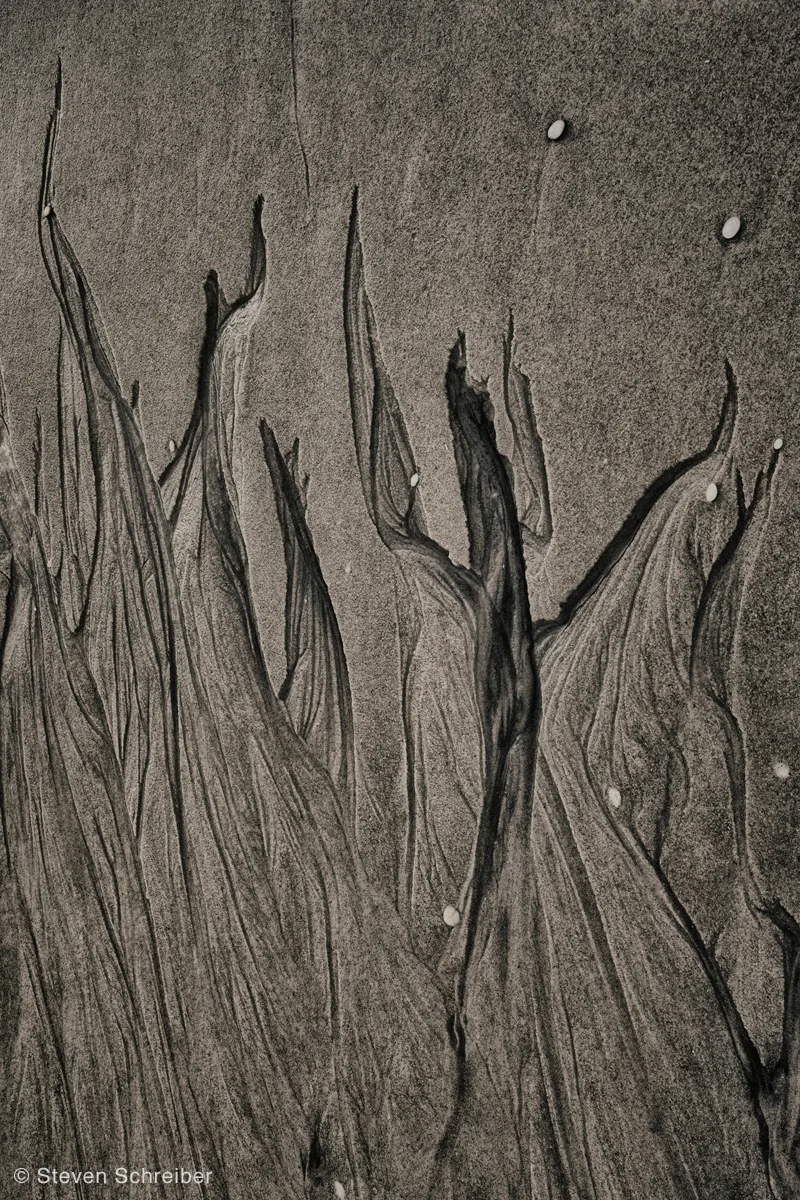 Emerging by Steven Schreiber