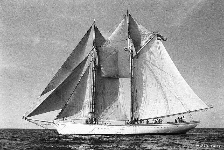 Full + Sail by Mark Testa