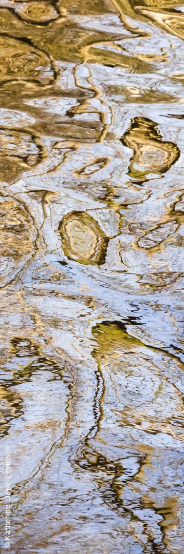 Golden Pond 2 by Katherine Liepe-Levinson