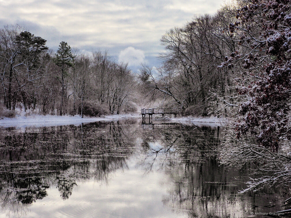 Anthony Graziano - Season of Silence - Photography.jpg