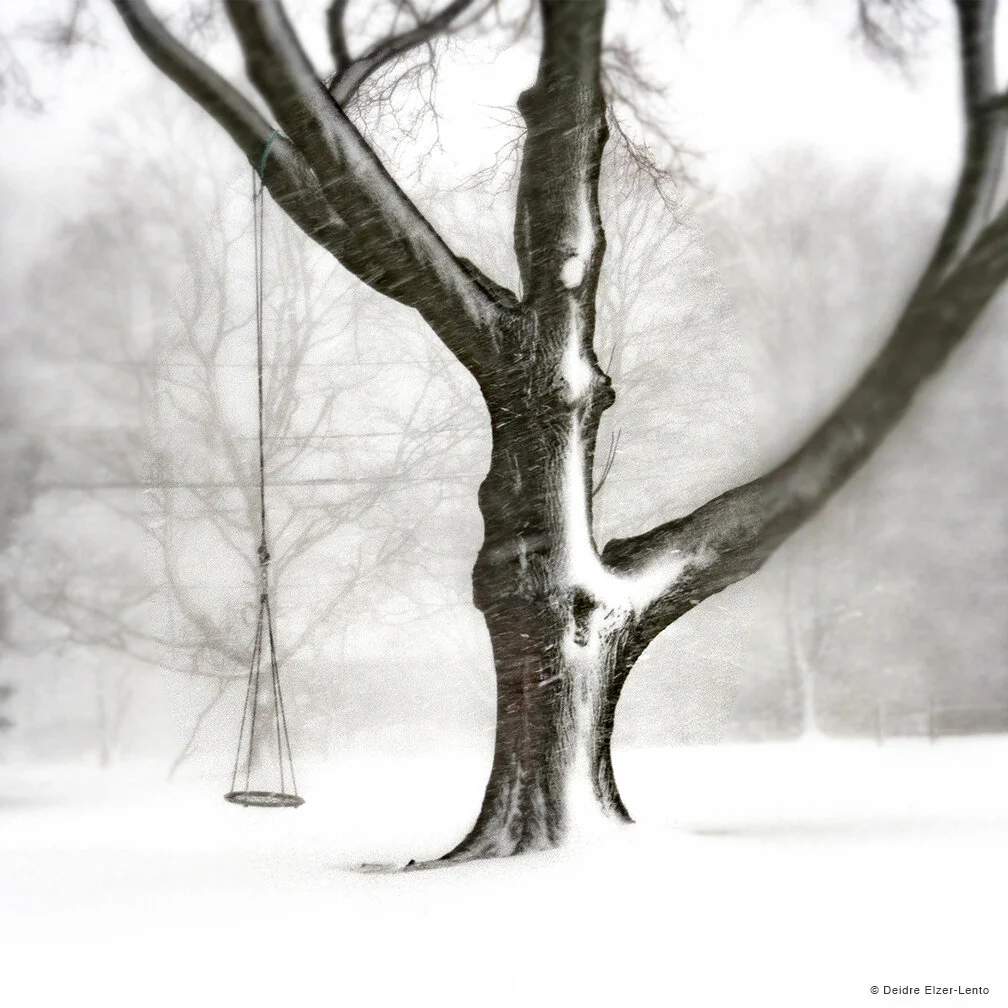Deidre Elzer-Lento - Lonely Swing - Photography.jpg