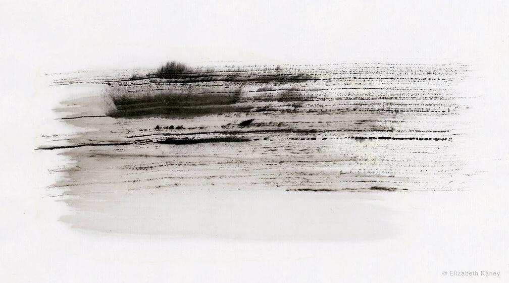 Elizabeth Kaney - Winter Prairie - Sumi-e ink on rice paper.jpg