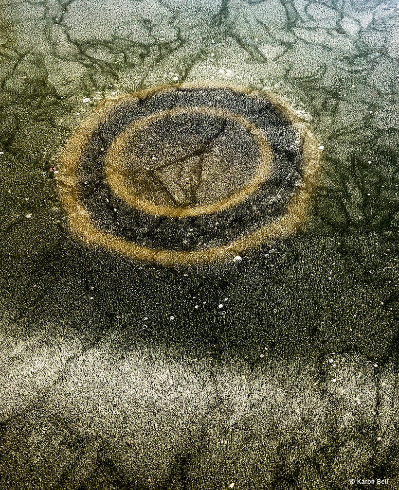 Karen Bell - Frozen Pond -   Photography.jpg