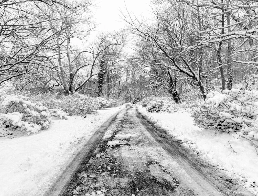 Kathleen Massi - Wonderland -  Photography.jpg