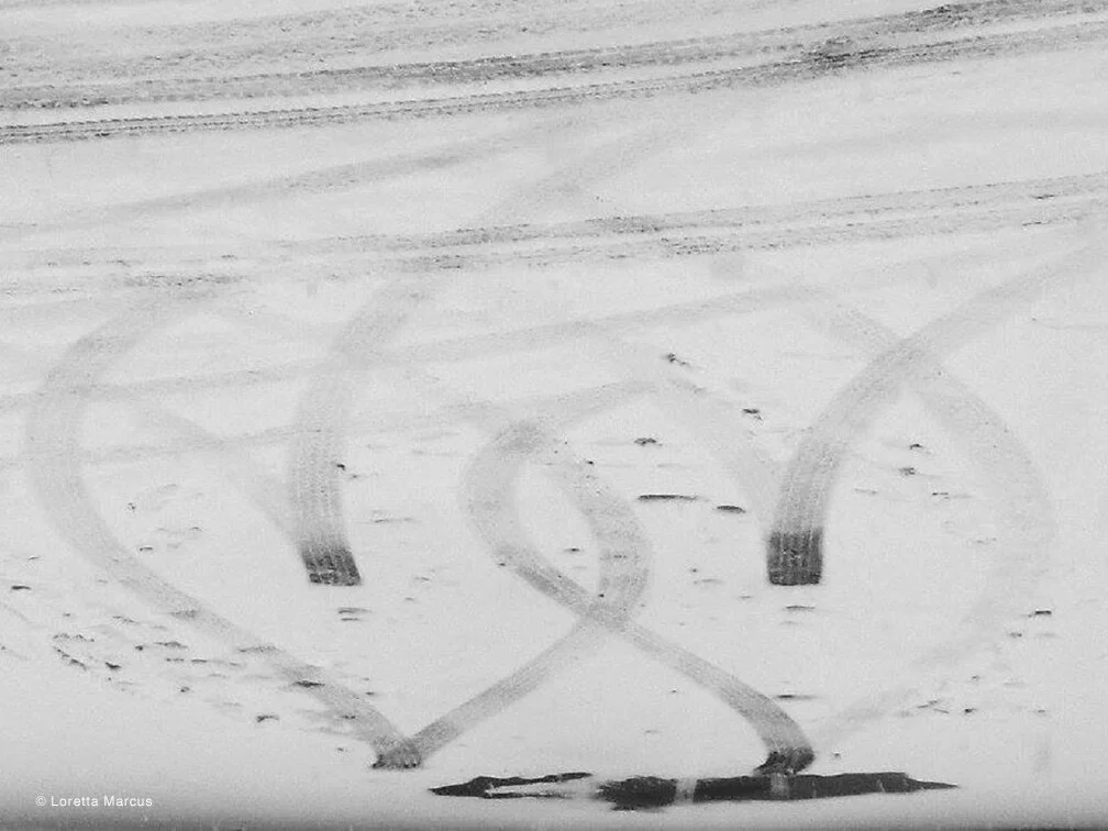 Loretta Marcus - Entwined - Photography.jpg