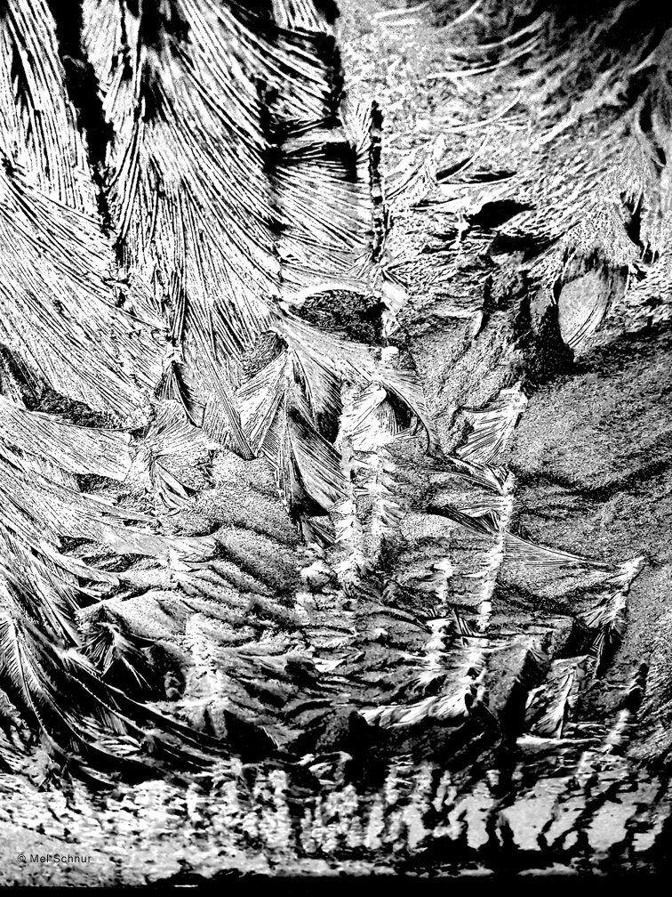 Mel Schnur  - Snowflake on My Windshield 2 - Photography.jpg