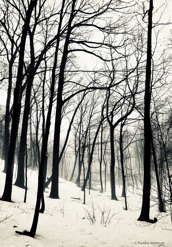 Pamela Waldroup - Solitude - Photography.jpg