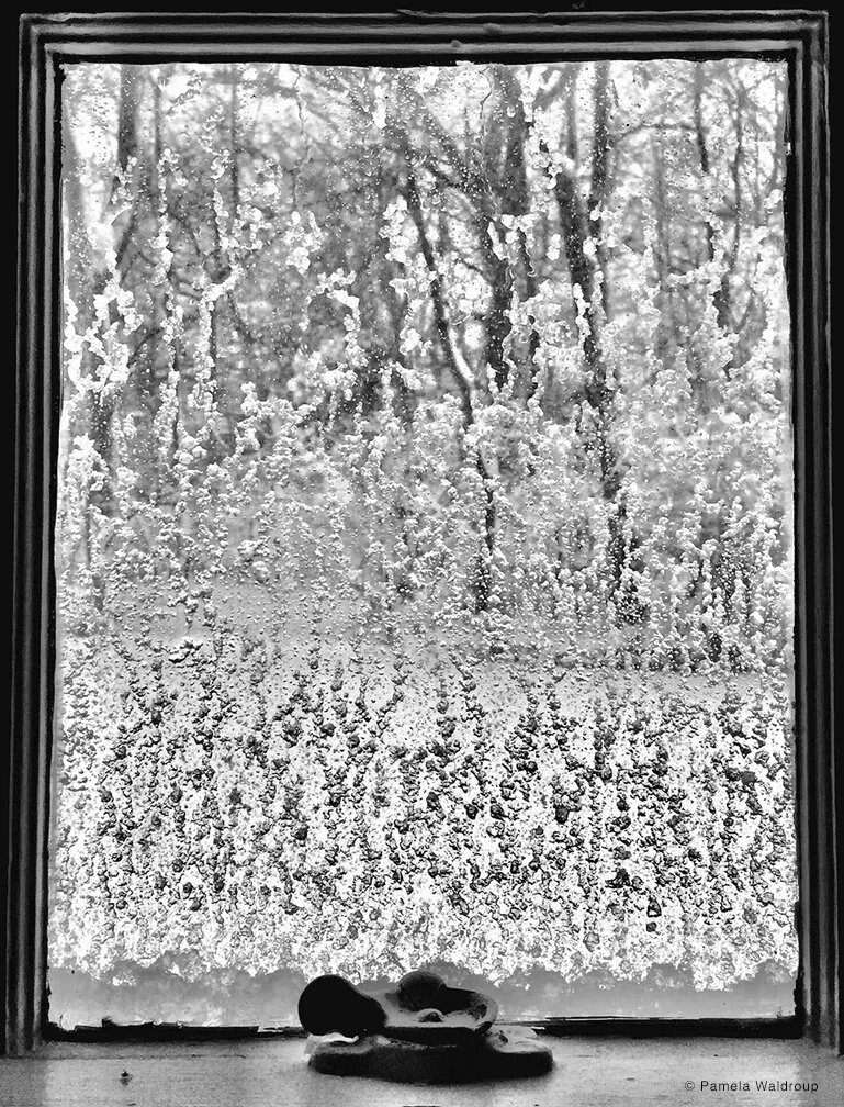 Pamela Waldroup - Winter Lace - Photography.jpg