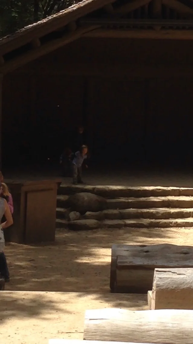 Inspiring kids in Big Basin