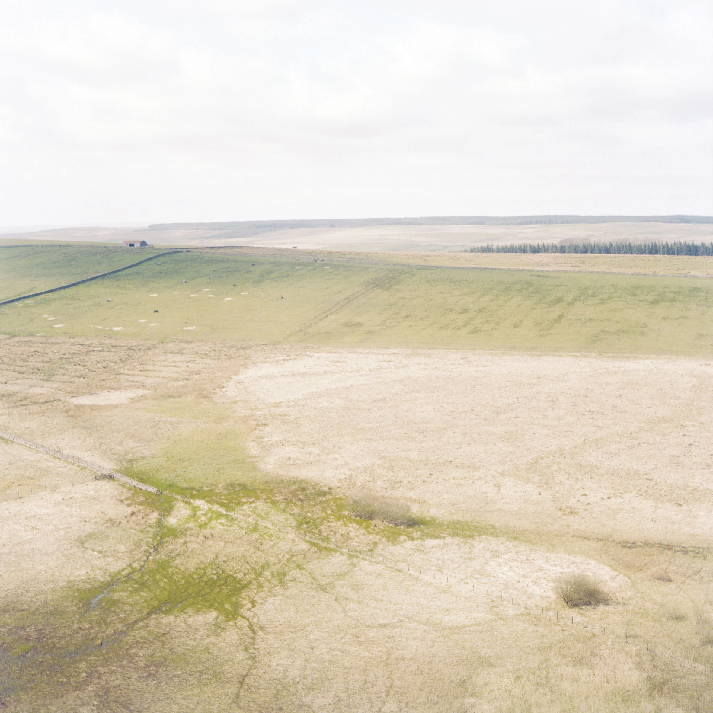 hadrians-wall-web.jpg