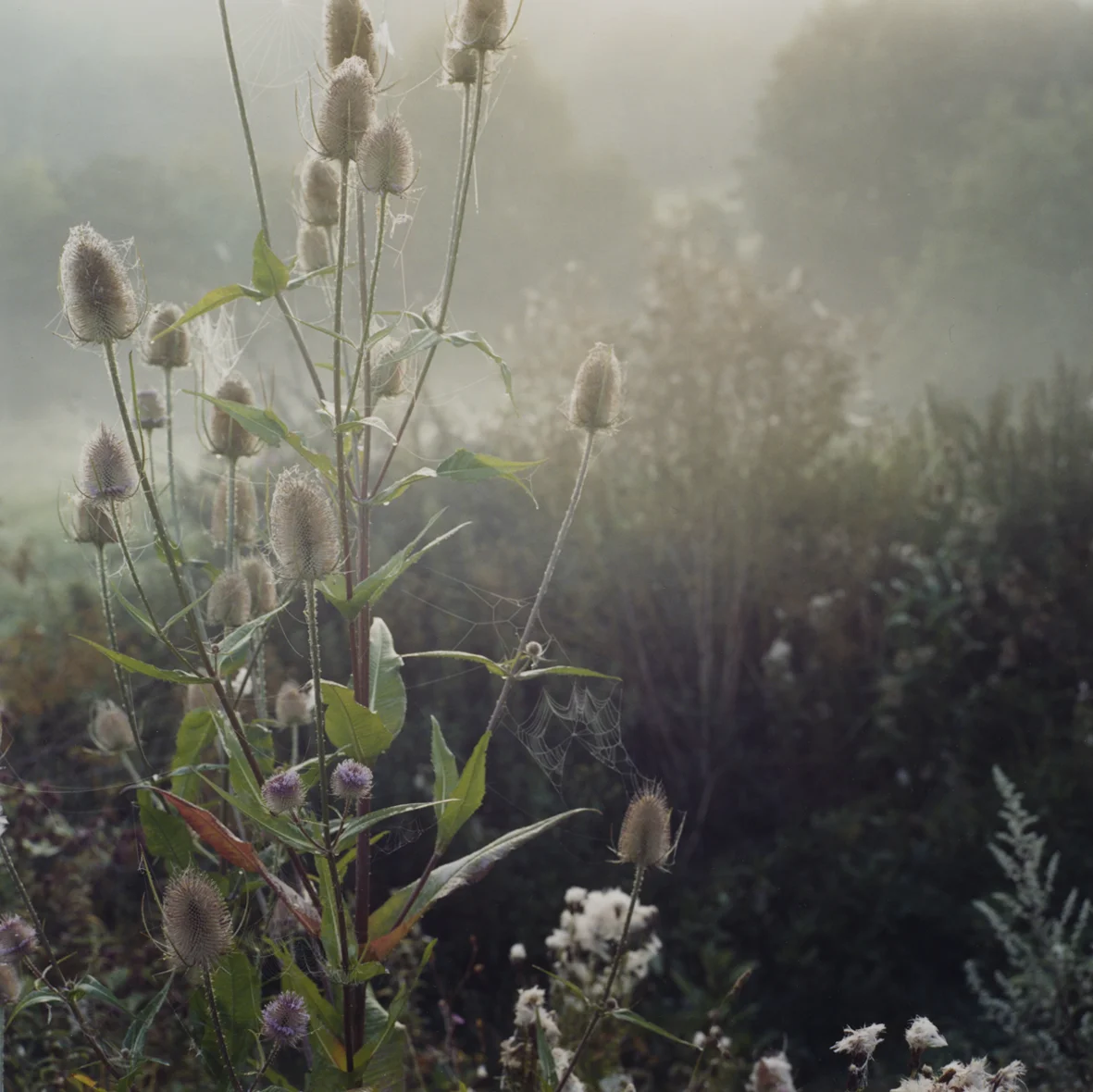 Waterways 5.jpg