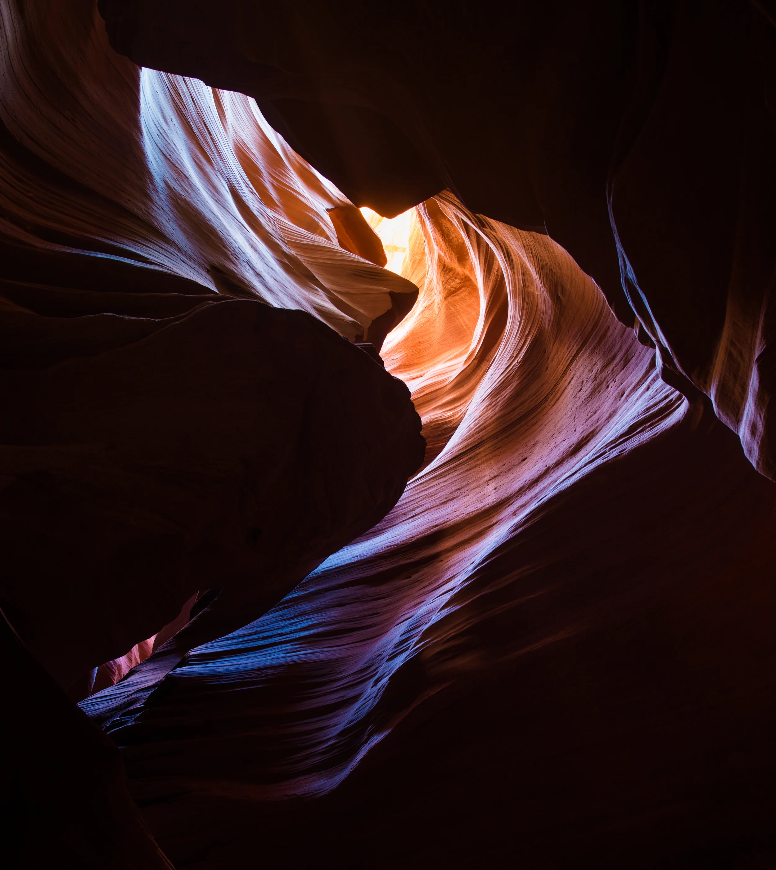 Antelope 6.jpg