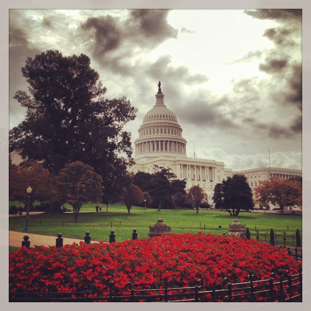 Capitol