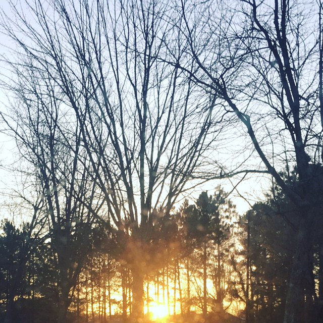 Sunrise In Raleigh