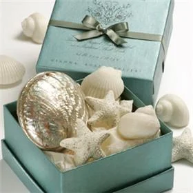 Tresors_des_MersSeashells.JPG