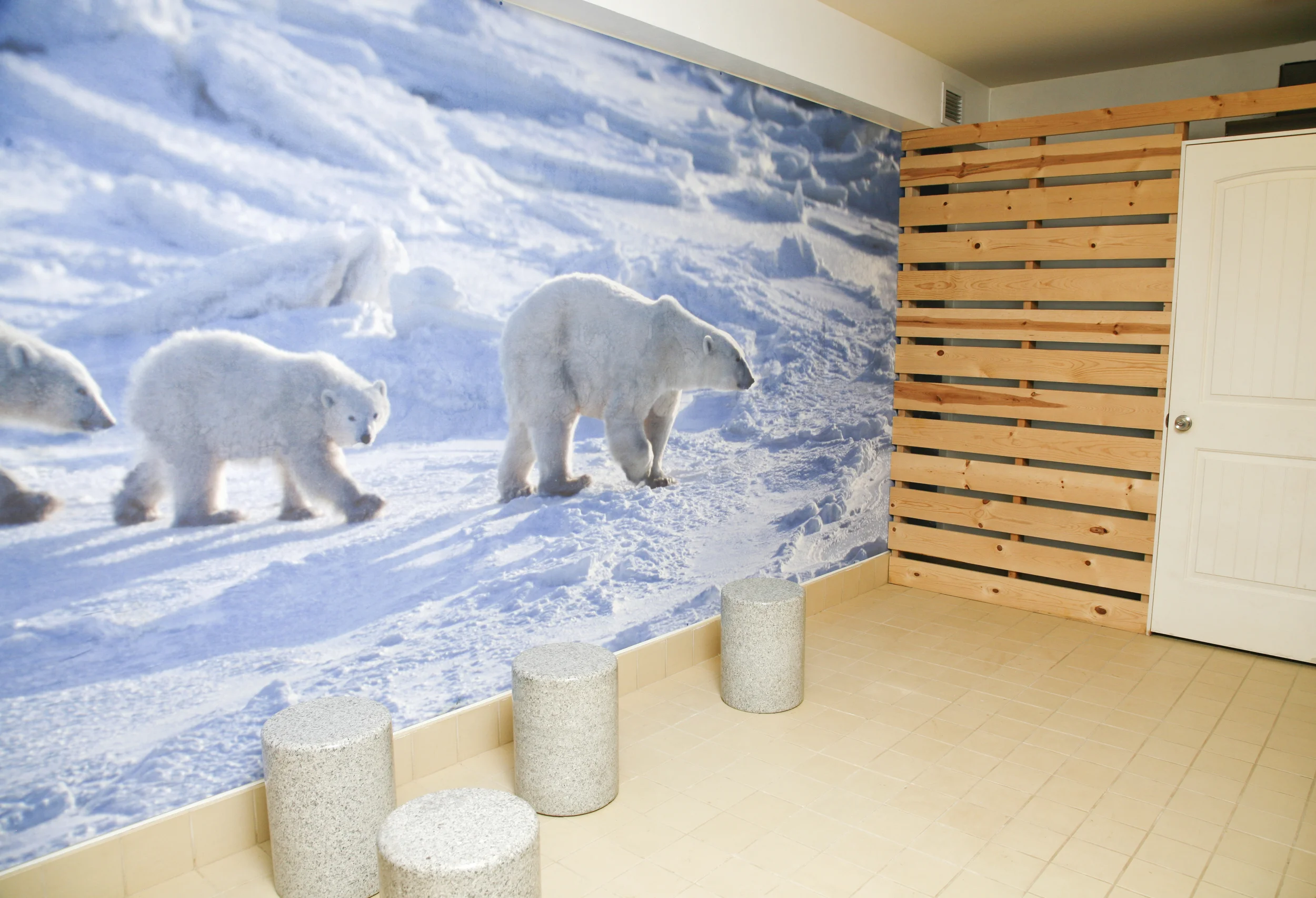Ice Room Our ice room is kept at a low temperature to help close pores after they have been detoxified in our saunas.
