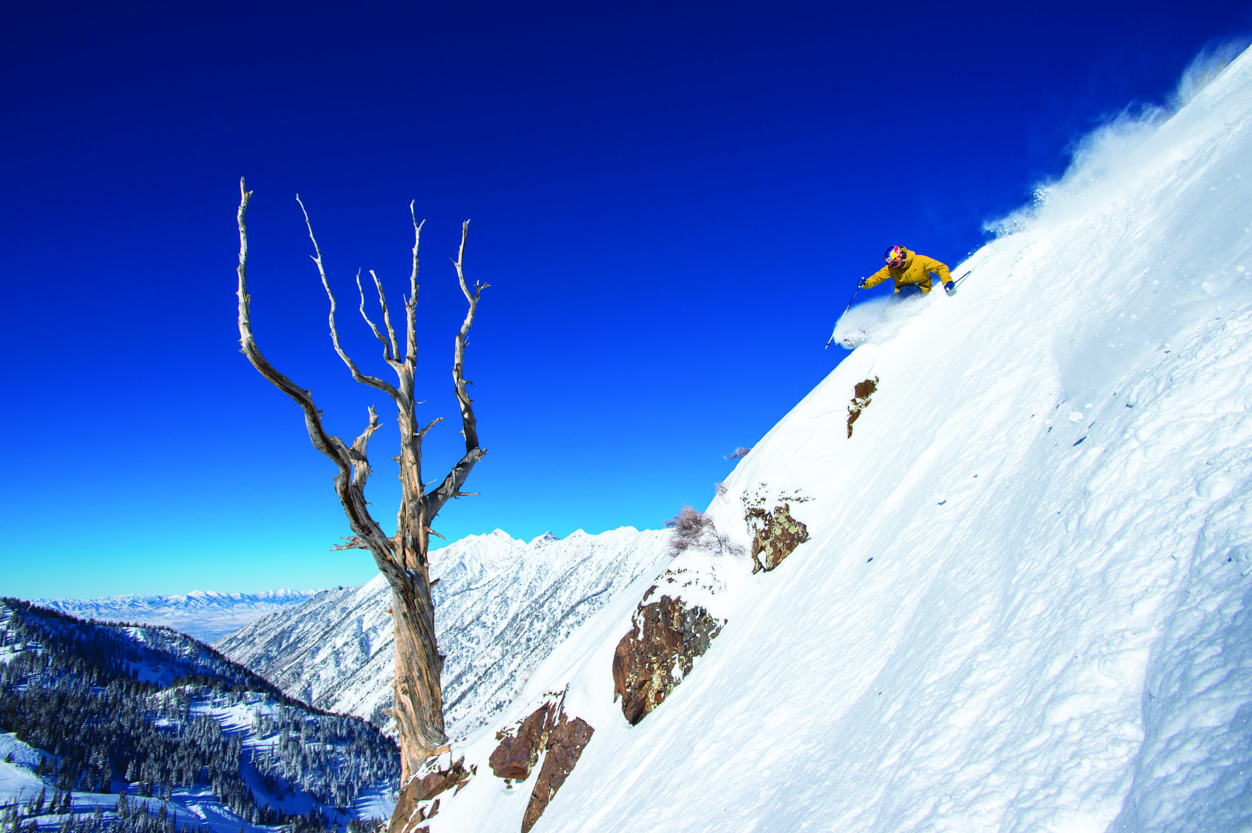   Johnny Collinson shreds at Snowbird Ski Resort.&nbsp;Photo: Scott Markewitz Photography  